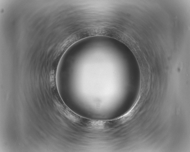 X0000060750144200511101125