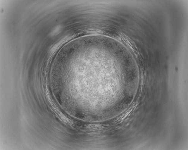 X0000060750145200511101124