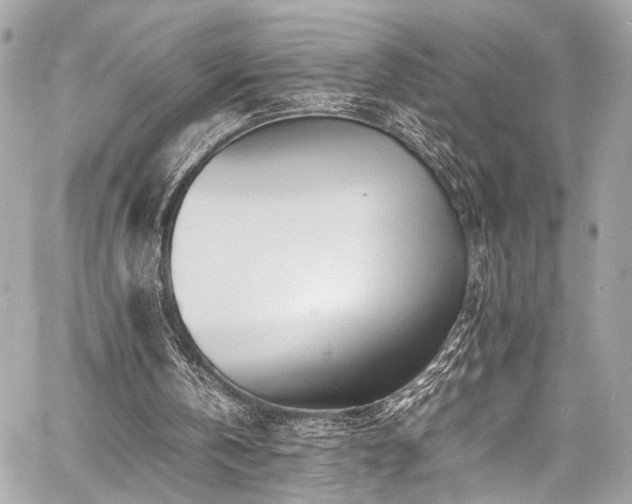 X0000060750146200511101124