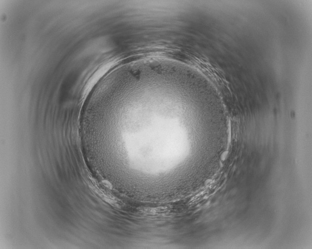 X0000060750147200511101124