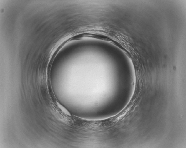 X0000060750148200511101124