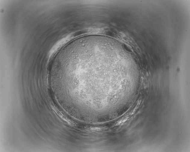 X0000060750149200511101124