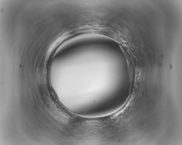 X0000060750150200511101124