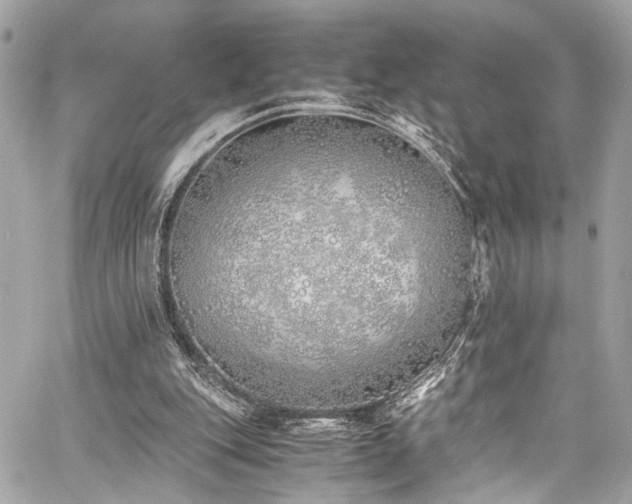 X0000060750151200511101124