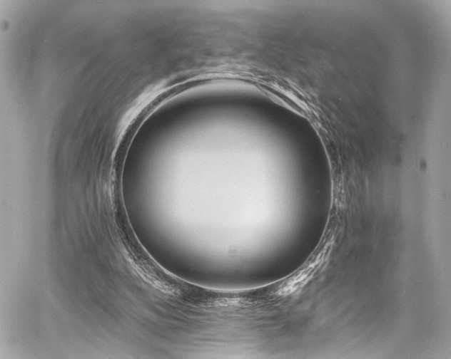 X0000060750152200511101124