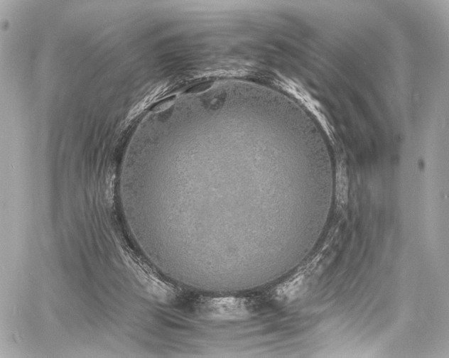 X0000060750153200511101124