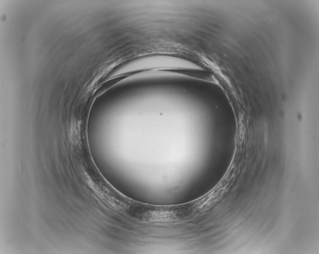 X0000060750154200511101124