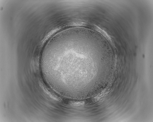 X0000060750155200511101124