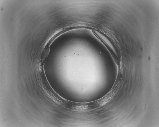 X0000060750156200511101125