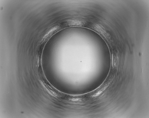 X0000060750157200511101125