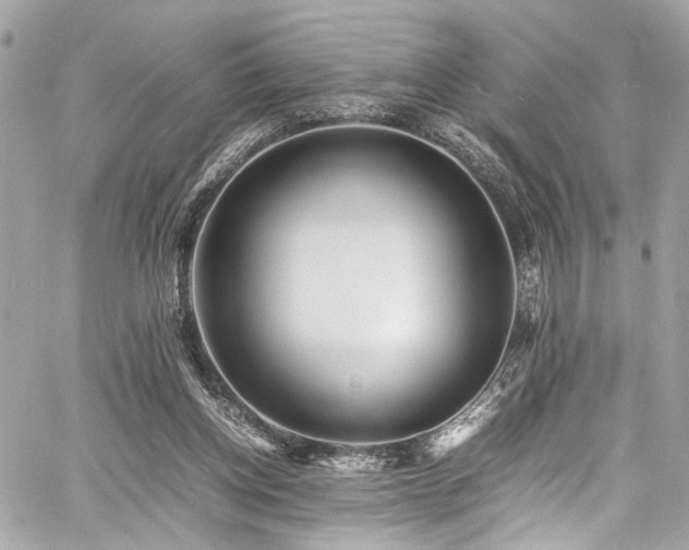 X0000060750158200511101125