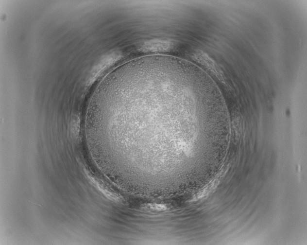 X0000060750159200511101125