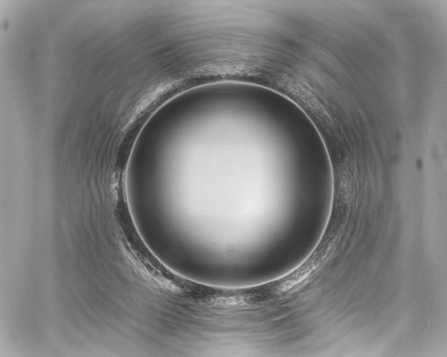 X0000060750160200511101125