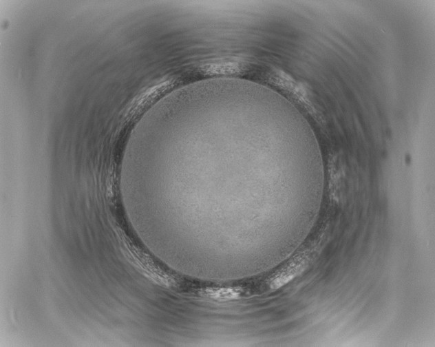 X0000060750161200511101125