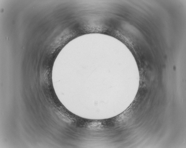 X0000060750162200511101125