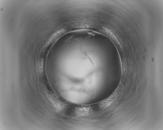 X0000060750163200511101125