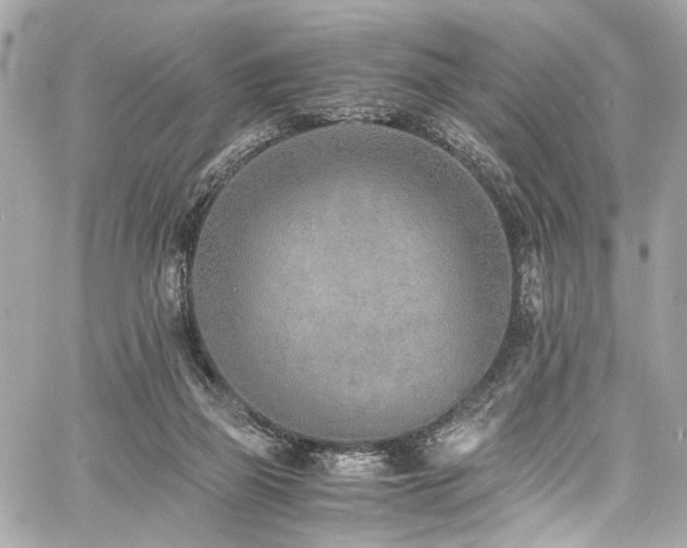 X0000060750165200511101125