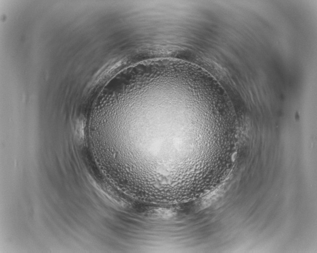 X0000060750166200511101125