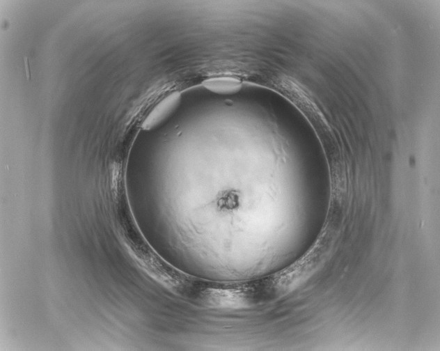 X0000060750167200511101125