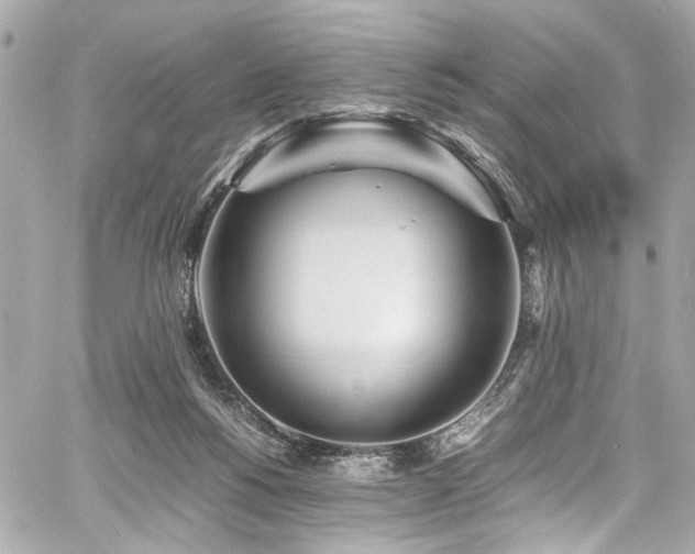 X0000060750168200511101125