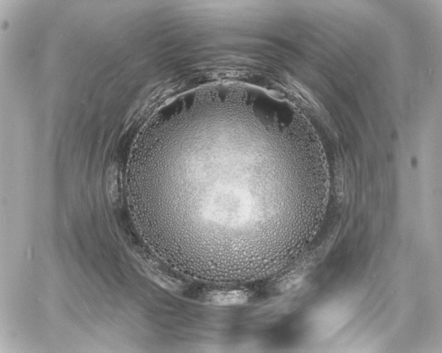 X0000060750169200511101125