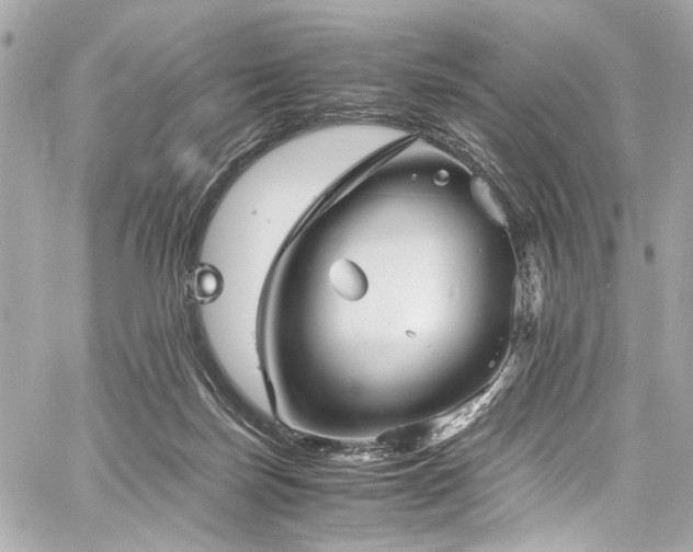 X0000060750171200511101125