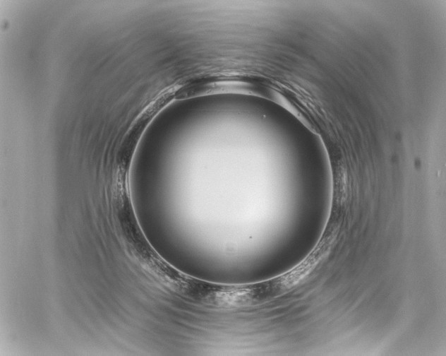 X0000060750172200511101125