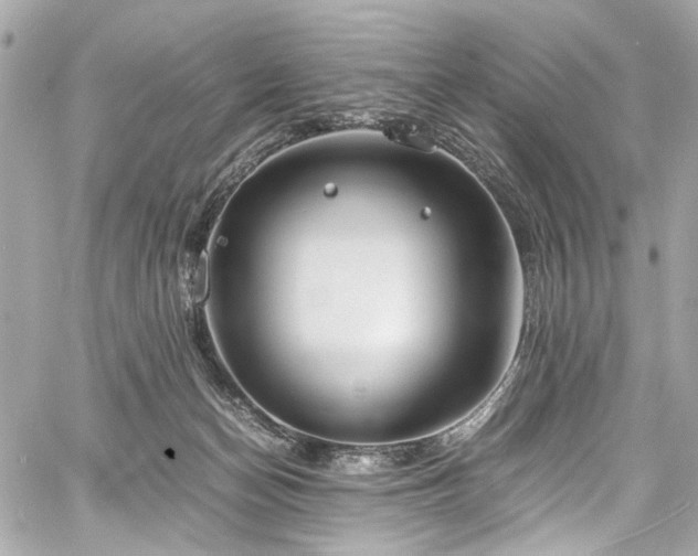 X0000060750174200511101125