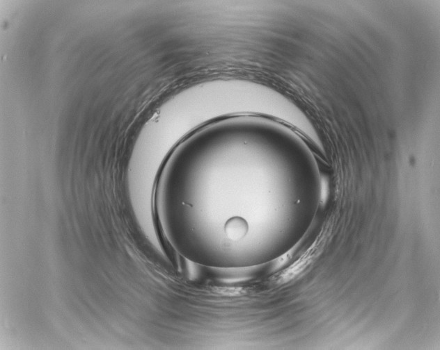 X0000060750176200511101125