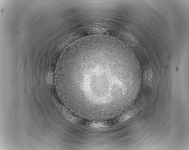 X0000060750177200511101125