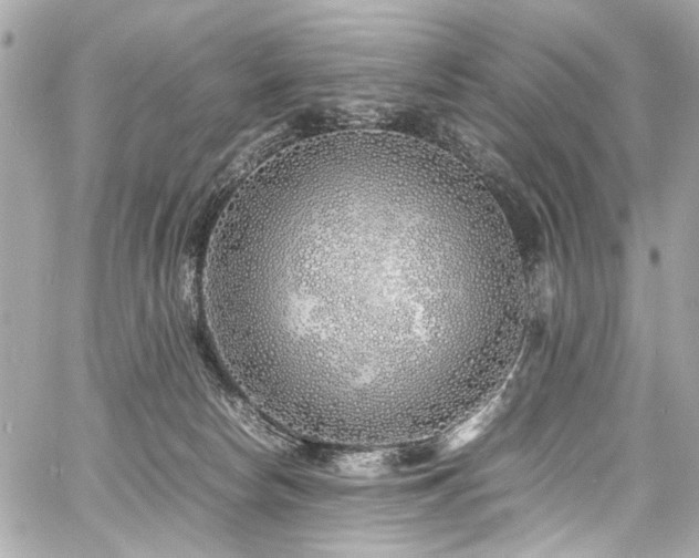 X0000060750178200511101125