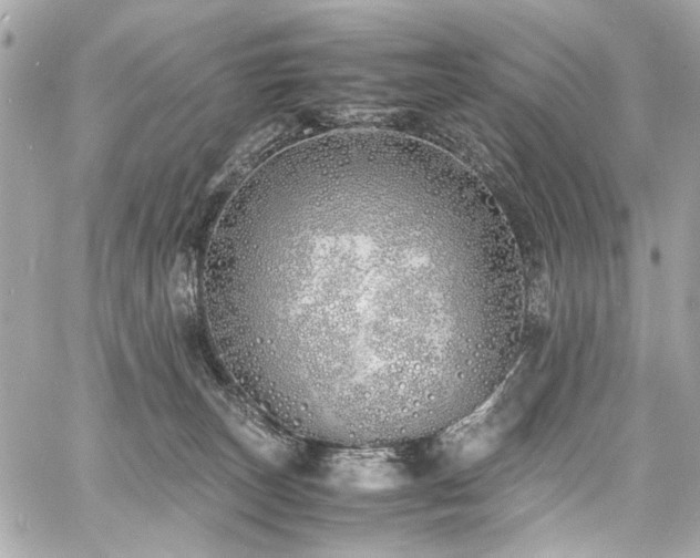 X0000060750179200511101125