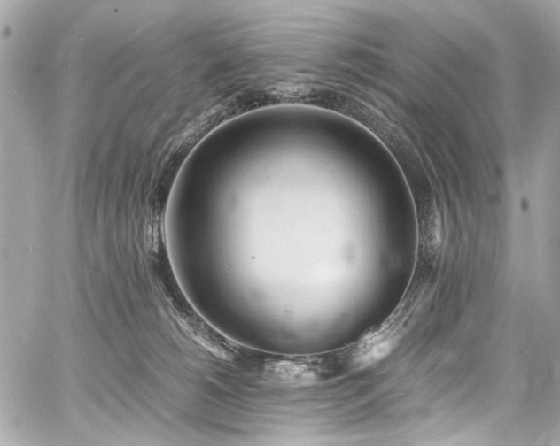 X0000060750180200511101125