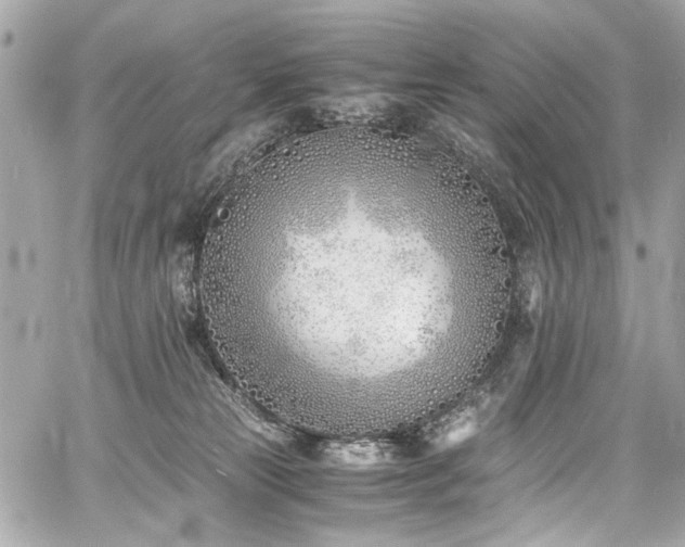 X0000060750181200511101125