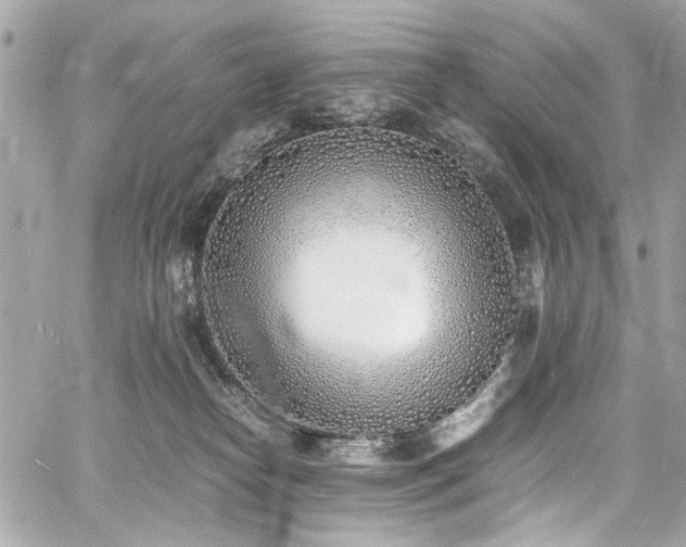 X0000060750182200511101125