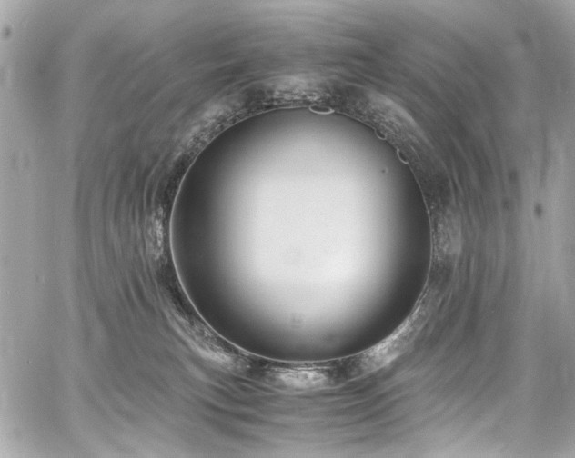 X0000060750183200511101125