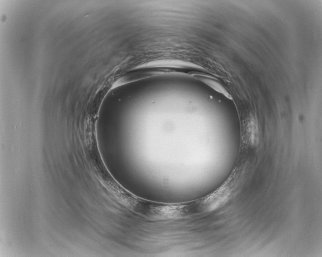 X0000060750184200511101125