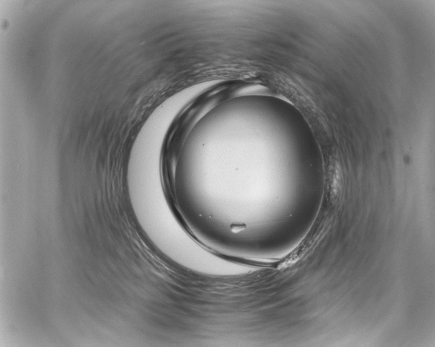 X0000060750185200511101125