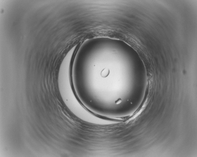 X0000060750186200511101125