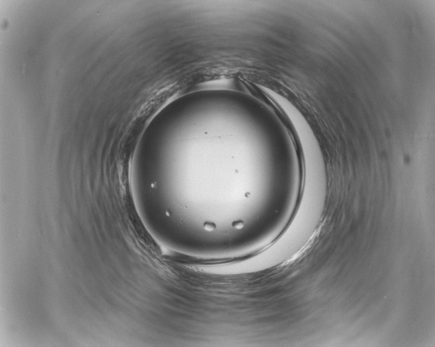 X0000060750187200511101125