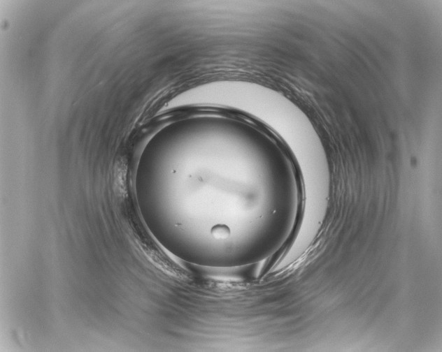 X0000060750188200511101125