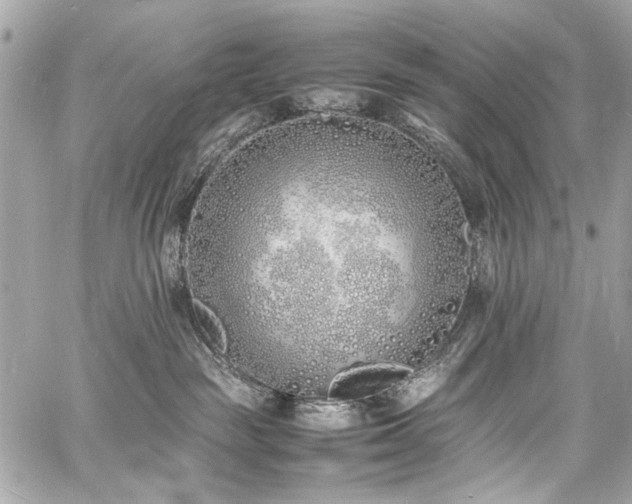 X0000060750189200511101125