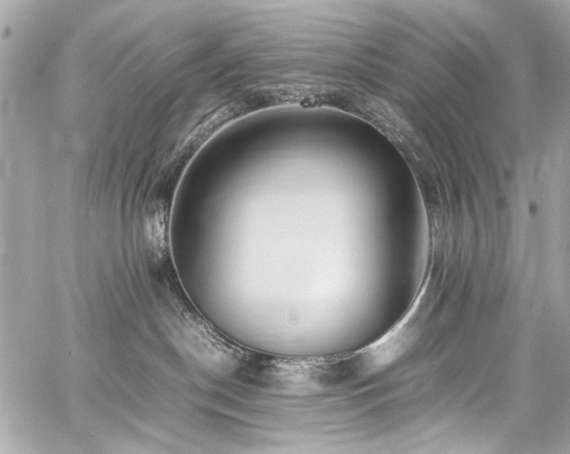 X0000060750190200511101125