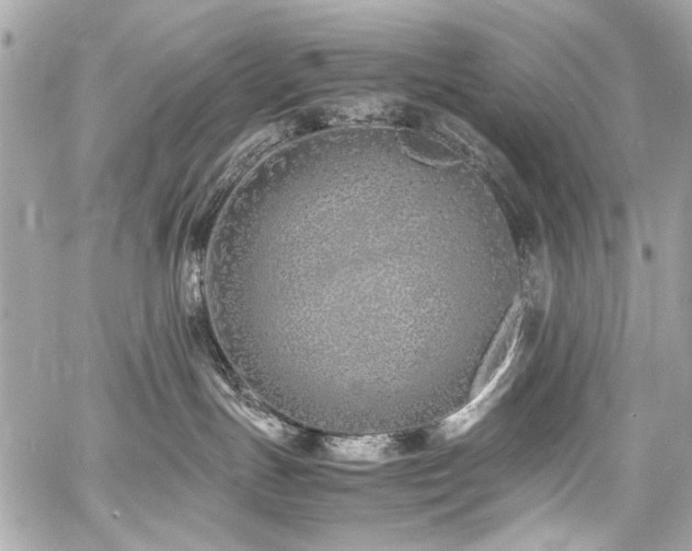 X0000060750191200511101125