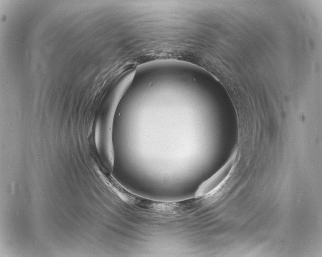 X0000060750192200511101125