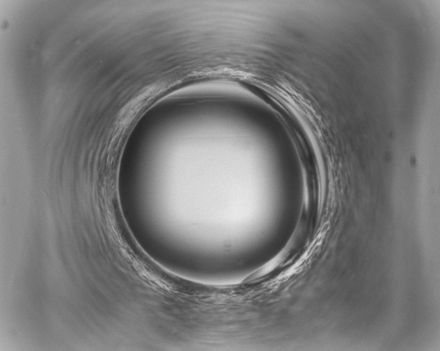 X0000060750193200511101124