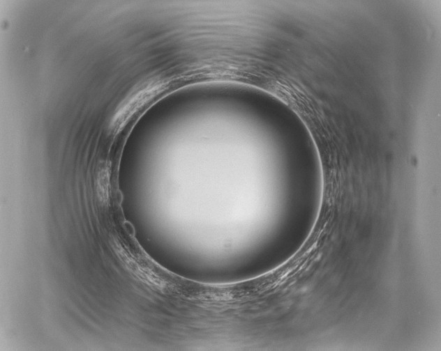 X0000060750194200511101124