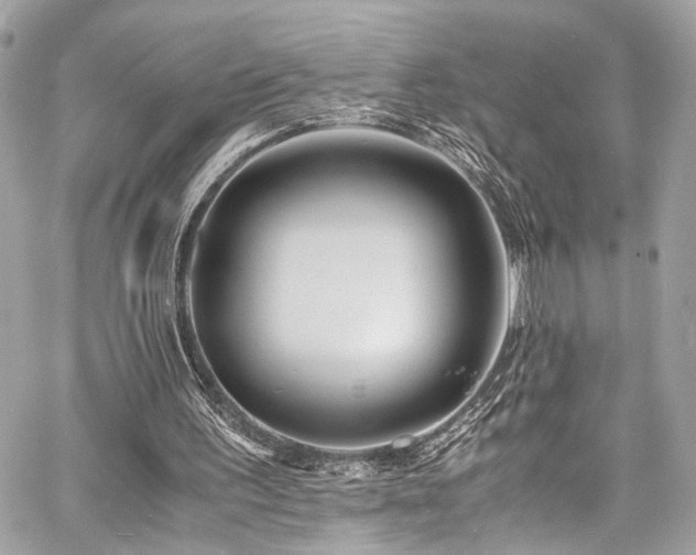 X0000060750195200511101124