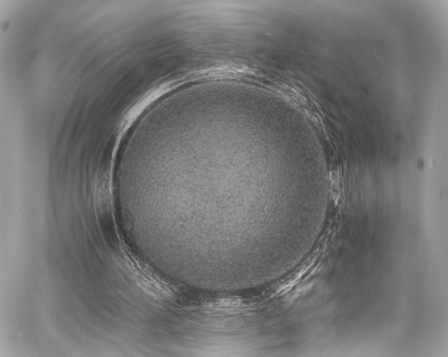 X0000060750196200511101124