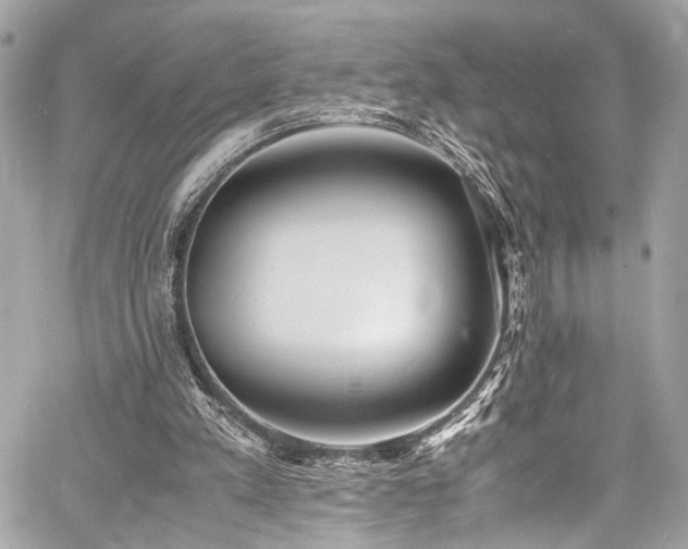 X0000060750197200511101124